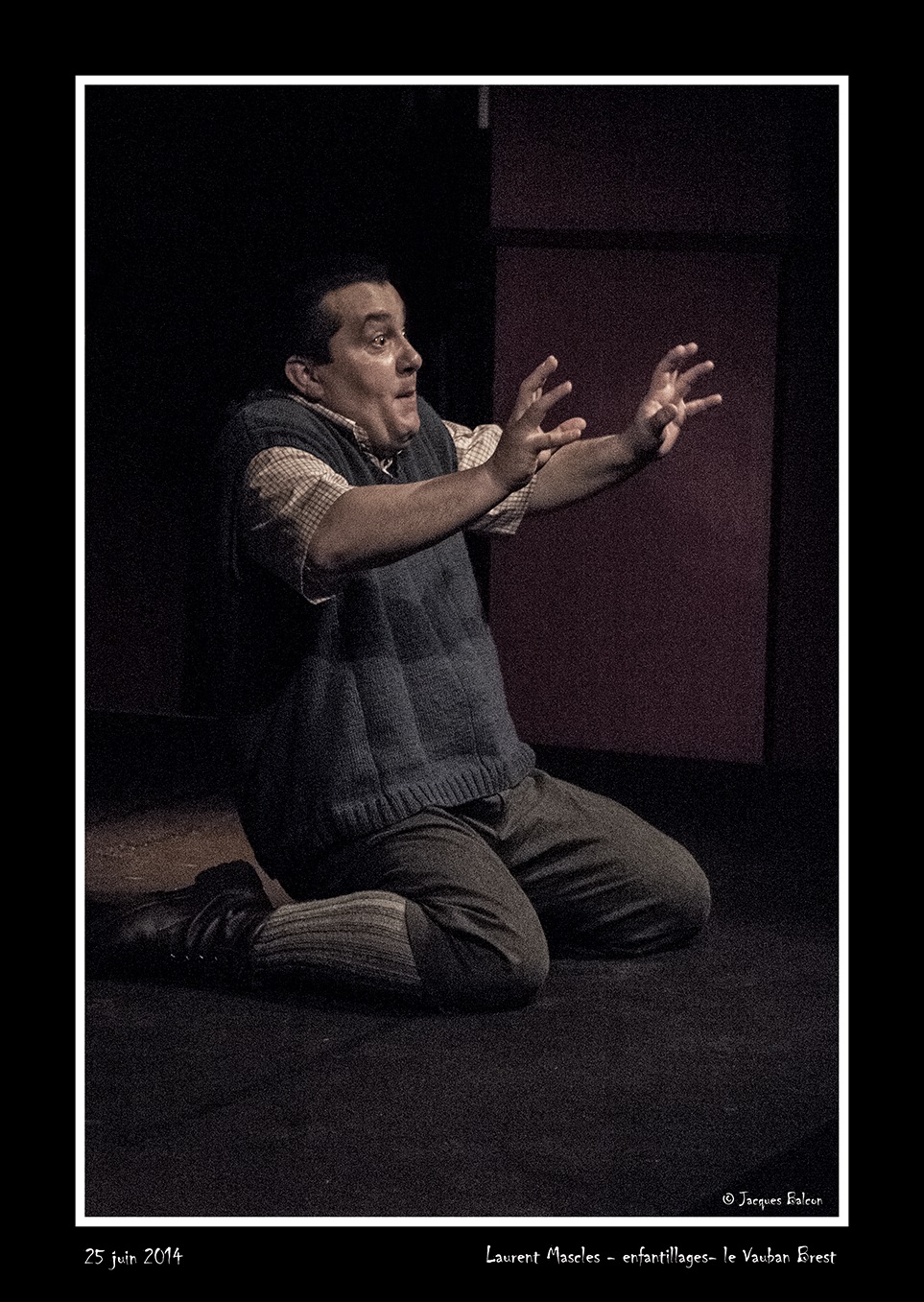 si un chien rencontre un chat